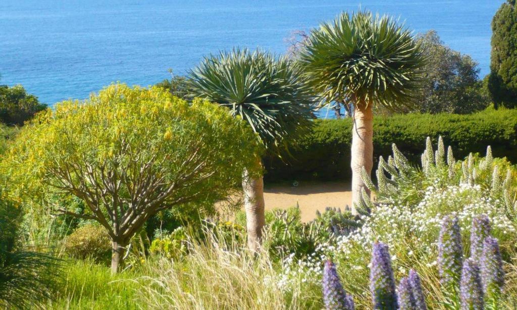 Hotel Beau Soleil Le Lavandou Buitenkant foto